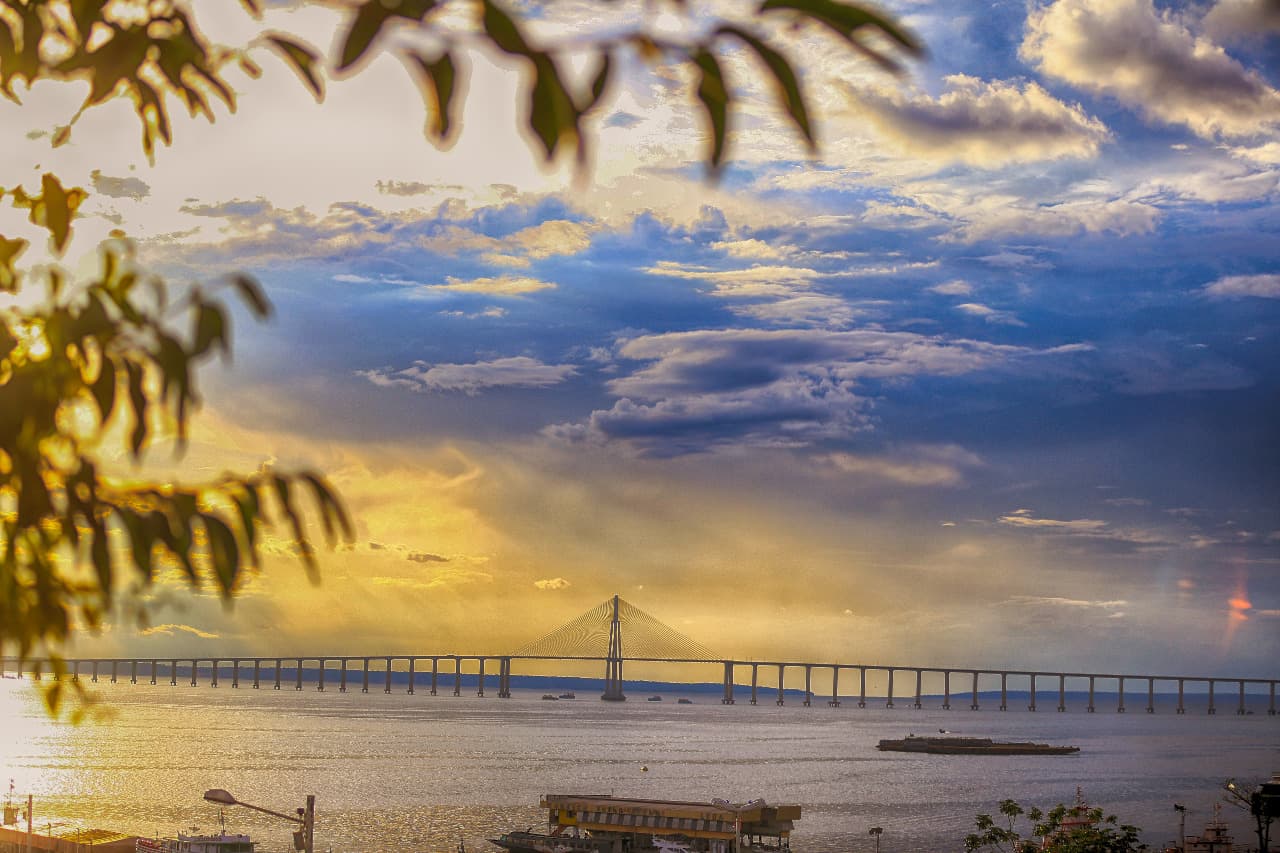 Equipe da Rios do Norte colaborando em um projeto de tecnologia em um escritório com vista para a natureza amazônica